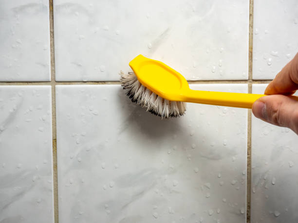 Mold Removal and Inspection in Bay Village, OH